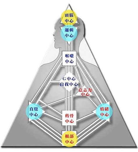 九大能量|人類圖是什麼？一文教你分析＋解讀4大類型及12種人。